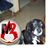 Tippy Becker's profile image