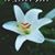 Teresa Baeza's profile image