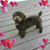 Pat DeQuattro's profile image
