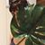 Ashley Brown's profile image