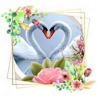 Regina Kaczmarczyk's profile image