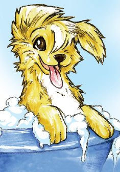 Kari R.'s profile image
