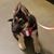 Irene Degracia Balina Whelan's profile image
