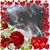 Roxanne LeJune's profile image