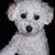 Charity Rollins's profile image