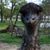 Kristina Rosier's profile image