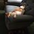 Elizabeth Burdick Mendoza's profile image
