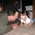 Joe Burdette's profile image
