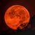 Kevin Fox's profile image