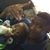 Cortez Duncantell's profile image