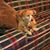 Carolyn Sue Snyder Trimble's profile image