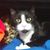 Jerry Davis's profile image