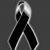 Luis Dubon's profile image