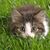 Filiz Reyhan Gedik's profile image