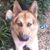 Paula Dew-Walker's profile image