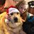 Sara Seebruch's profile image