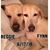 Maryann Hoppel Crowell's profile image