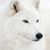 Rob Spafford's profile image