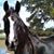 Kristen Workman Bucci's profile image