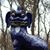 Martin Maske's profile image