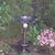 Elaine Schultze's profile image