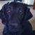 Patsy Minter's profile image