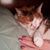 Heather Pettis Busse's profile image