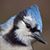 Claudia Wilson's profile image
