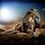 Jeannetta L. Scott's profile image