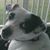 Charles Foy's profile image