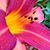 Bitny Bnit's profile image