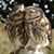 Kathy St. Lawrence's profile image