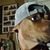 Mario Perez's profile image