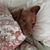 Sallie Hevalow Seger's profile image