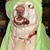 Clayton Bowman's profile image