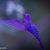 Mary Malchow's profile image
