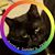 Tara K. Harrison's profile image