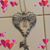 Susan Johnson's profile image