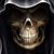 Brad Bedenbaugh's profile image