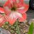 Melinda Jean Caldwell's profile image