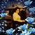 Luz Martinez's profile image