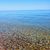 Corri Peticolas Riebow's profile image