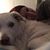 Allisa Blanchard's profile image
