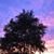 Suzanne Fingerle's profile image