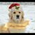 Marti Brown's profile image