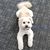 Gail Beckman's profile image