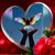 Vicki Carter's profile image