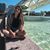 Vanessa Almeida's profile image