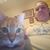 Angela Marie Mabes's profile image