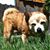 Ann Bertellotti's profile image